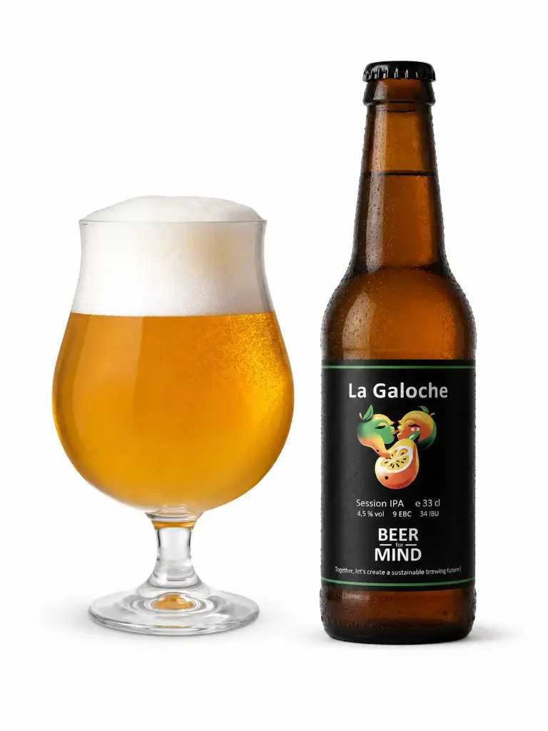 La Galoche - Pack de 12 bouteilles 33cl